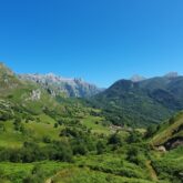 Plaine verte en été dans le décours des Picos de Europa