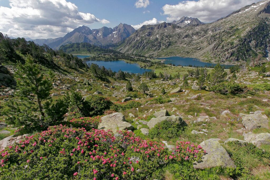 Paysage de montagne avec en fond les sommets et au premier plan les lacs du Nouvelle et des fleurs