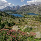 Paysage de montagne avec en fond les sommets et au premier plan les lacs du Nouvelle et des fleurs