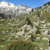 Randonneurs sur un sentier de montagne entouré d'arbres et de végétation, avec un sommet enneigé en fond