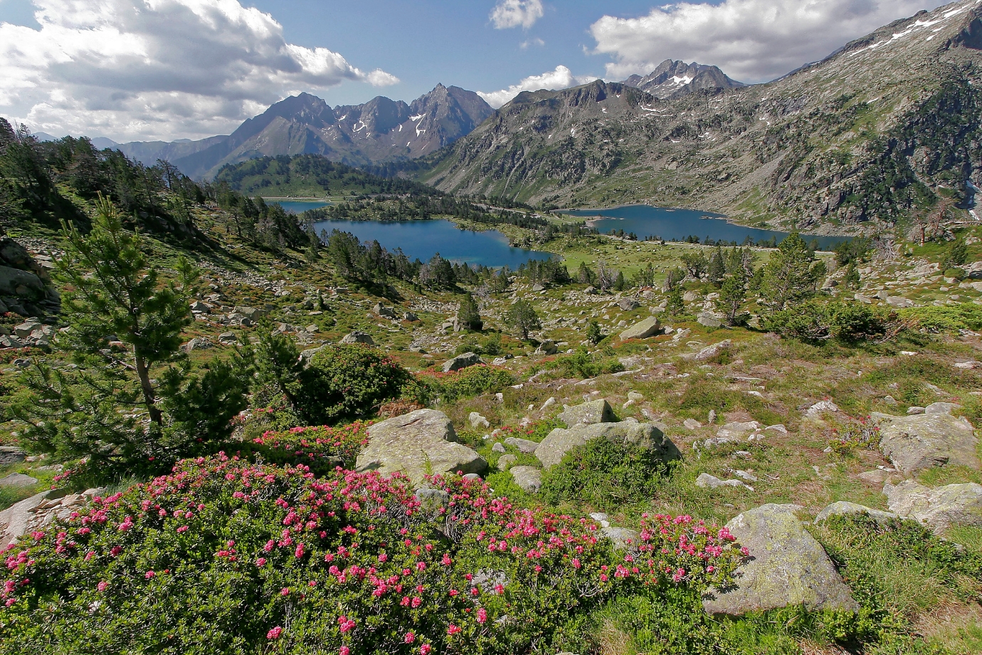LES LACS DE LA R SERVE DU N OUVIELLE