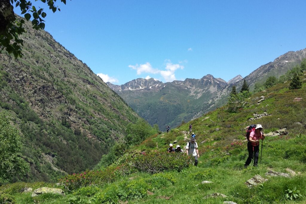 groupe de randonneurs en été en train de monter à flanc d'une montagne