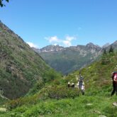 groupe de randonneurs en été en train de monter à flanc d'une montagne