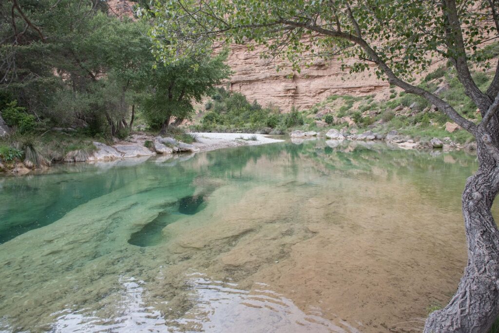 Paysage estival en Sierra de gara avec un rio aux couleurs turquoises, des arbres et une plage de galets blancs sur le côté