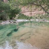 Paysage estival en Sierra de gara avec un rio aux couleurs turquoises, des arbres et une plage de galets blancs sur le côté