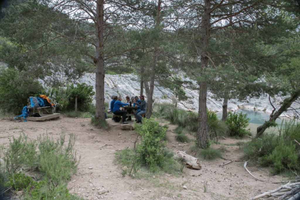 Groupe de personnes se restaurant dans un coin forestier aux abords d'un canyon aux couleurs bleues.