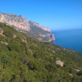Paysage du littoral en Sardaigne, avec la mer en contrebas et un flanc de montagne sur la gauche couvert par une forêt