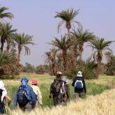 Groupe de randonneurs avec leur guide au Maroc dans la vallée du Draa.