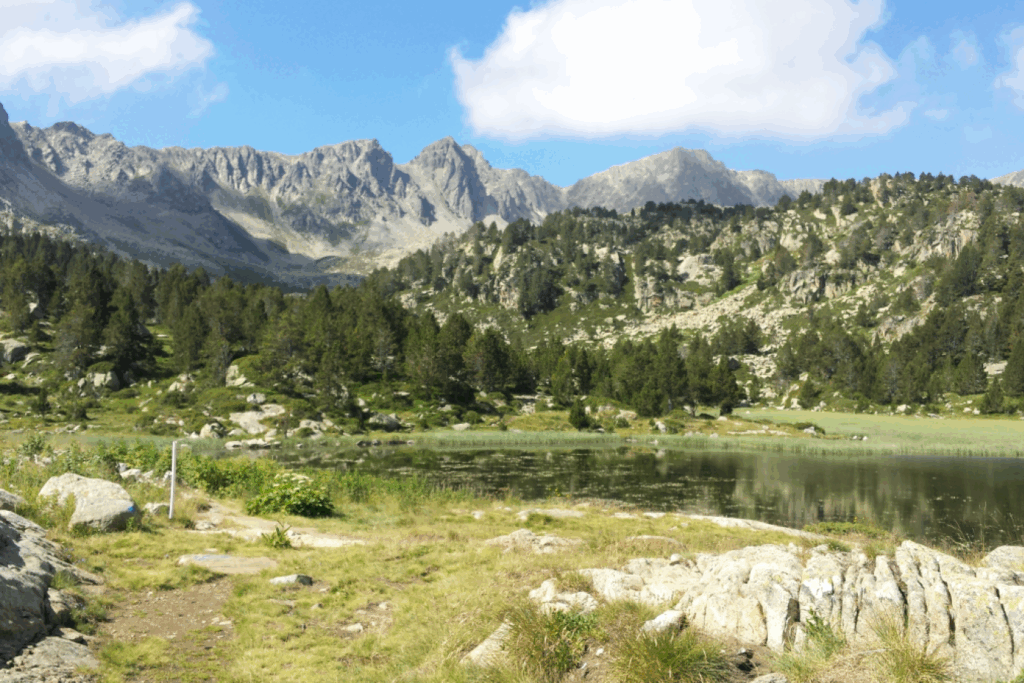 Paysage de montagne avec un lac au premier plan, une forêt au second plan et des sommets à l'arrière-plan.