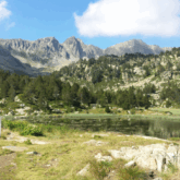 Paysage de montagne avec un lac au premier plan, une forêt au second plan et des sommets à l'arrière-plan.