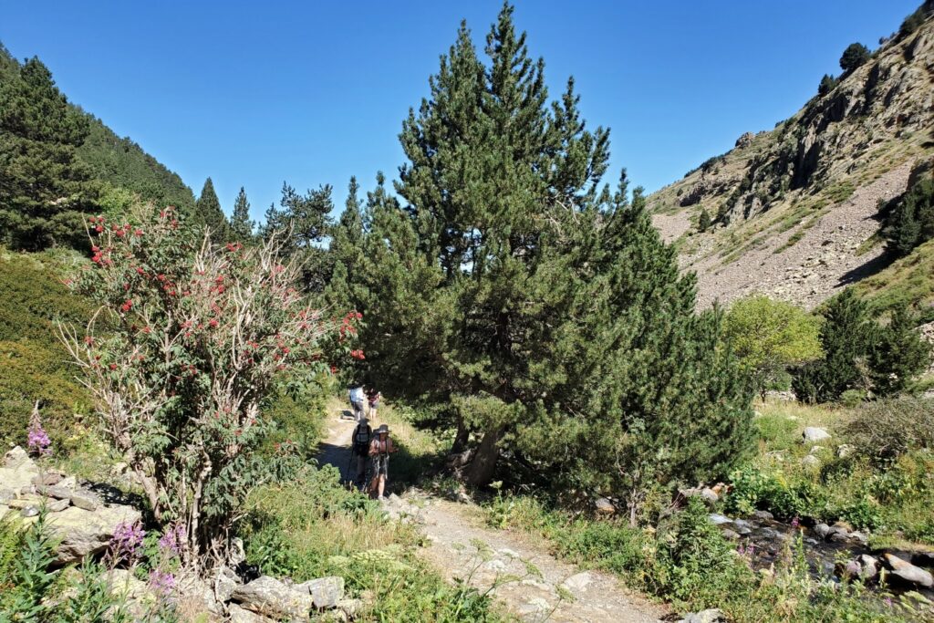 Sentier rencontré par un groupe de randonneurs accompagné d'un guide lors d'un séjour randonnée et balnéothérapie dans le Capcir