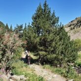 Sentier rencontré par un groupe de randonneurs accompagné d'un guide lors d'un séjour randonnée et balnéothérapie dans le Capcir