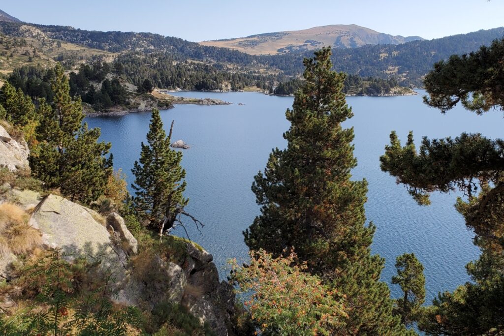 Apperçu d'un lac de montagne à travers une forêt et au fond des sommets