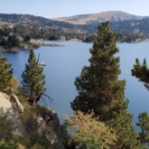 Apperçu d'un lac de montagne à travers une forêt et au fond des sommets