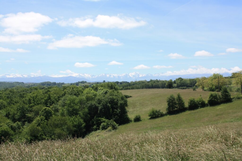 Paysage montagnard observé en randonnée en Arriège.