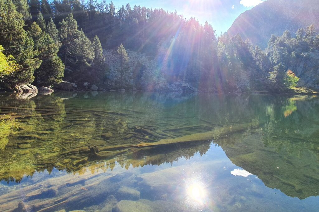 Paysage ensoleillé d'un lac de montagne encadré d'une forêt
