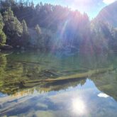 Paysage ensoleillé d'un lac de montagne encadré d'une forêt