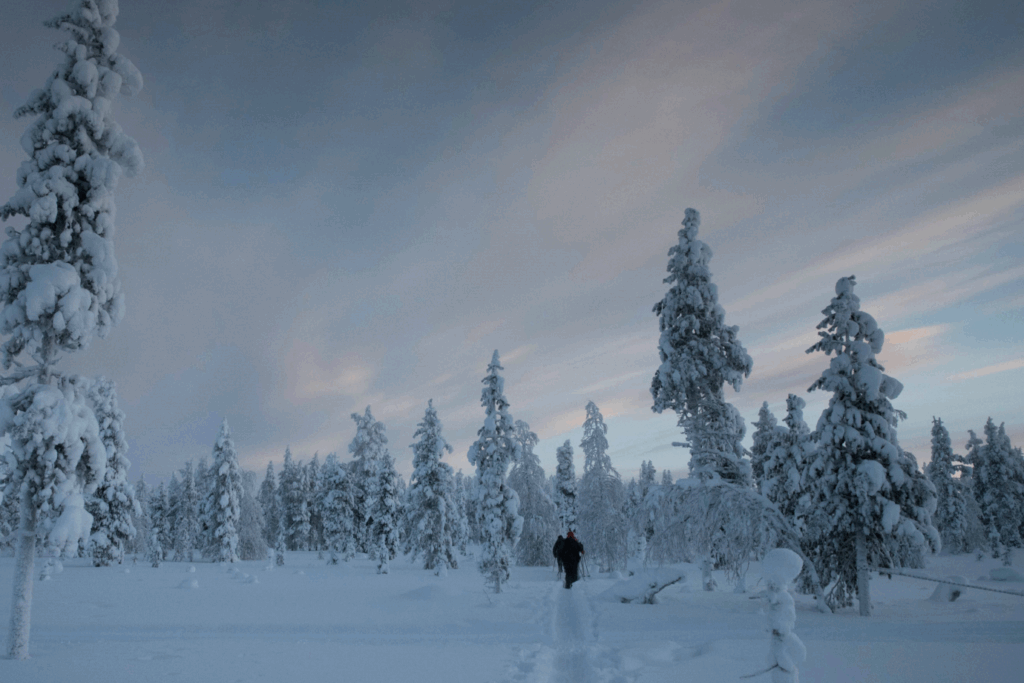 Paysage en Laponie avec des arbres et une forêt couverte de neige, ainsi qu'une grande plaine traversée par un randonneur