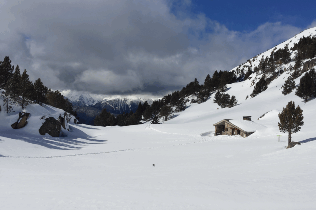 Grande pleine recouverte de neige avec des arbres et une maison en pierre à l'arrière-plan.