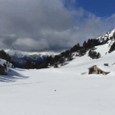 Grande pleine recouverte de neige avec des arbres et une maison en pierre à l'arrière-plan.