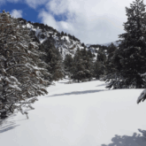 Paysage hivernal de montagne avec de la neige et des arbres recouverts de neige.