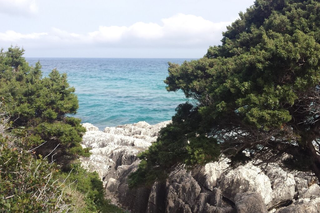 Paysage de Sardaigne avec des roches blanches, des arbres et la mer en arrière-plan