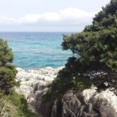 Paysage de Sardaigne avec des roches blanches, des arbres et la mer en arrière-plan