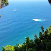 Paysage de littoral encadré par de la végétation