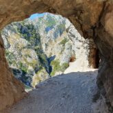 paysage estival dans les picos de europa sur un sentier qui passe à l'intérieur de roche