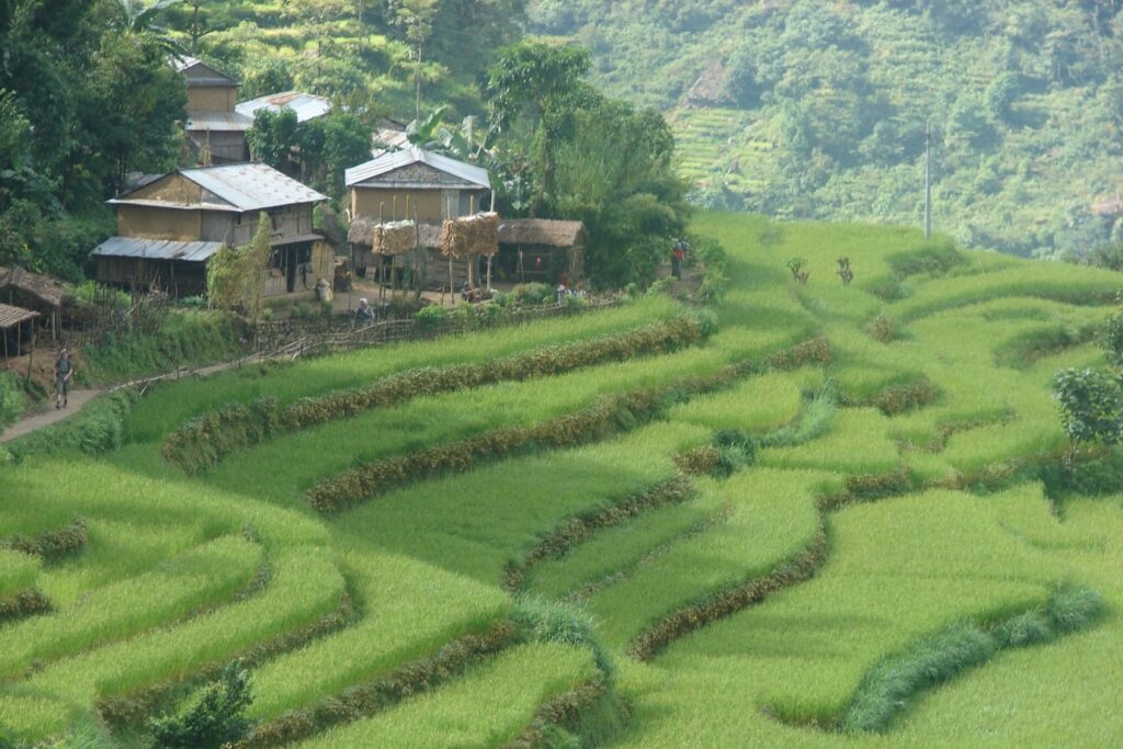Balcons des Annapurnas avec l'herbe verte et des petites maisons construites sur le bord d'une étendue verte