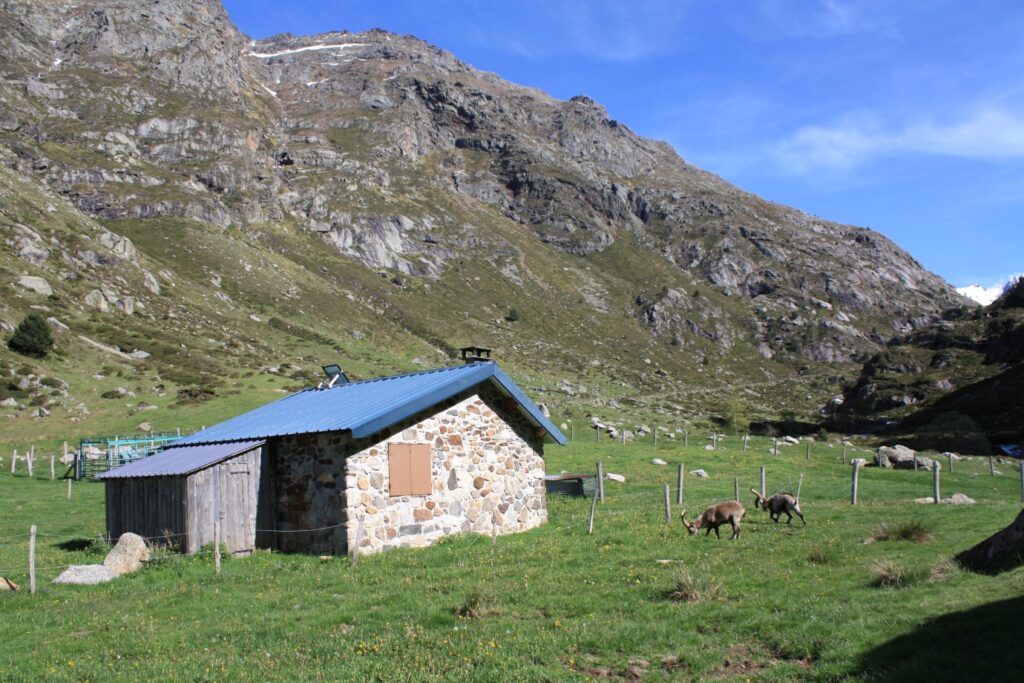 Paysage montagneux avec des montagnes dans le fond et au premier plan une maison de bergers avec des animaux