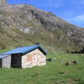 Paysage montagneux avec des montagnes dans le fond et au premier plan une maison de bergers avec des animaux