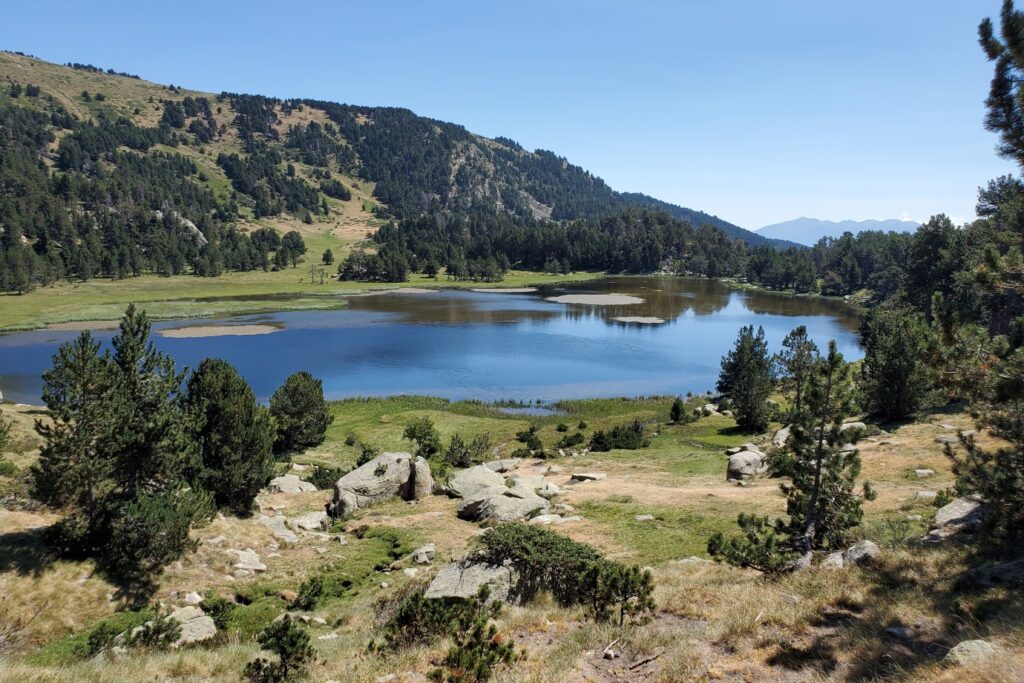 Lac de Montagne entouré de végétation et de forêt dans le Capcir