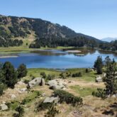 Lac de Montagne entouré de végétation et de forêt dans le Capcir