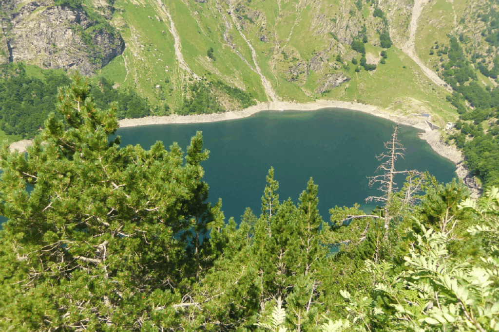 Paysage de montagne avec un lac et une forêt