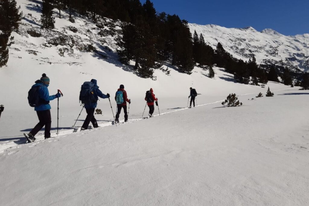 Groupe de marcheurs en raquettes qui se dirigent, avec leur guide, sur un chemin à travers la neige et la montagne.
