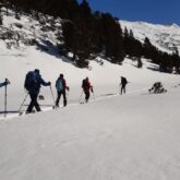 Groupe de marcheurs en raquettes qui se dirigent, avec leur guide, sur un chemin à travers la neige et la montagne.
