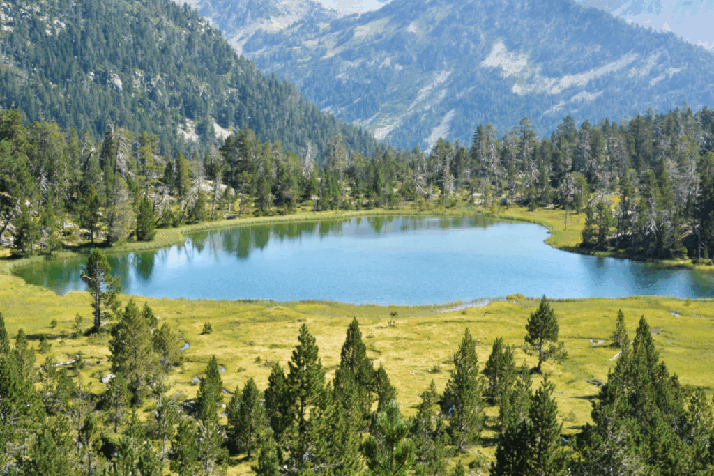Paysage de montagne avec un lac et plus loin des arbres surplombés par des sommets