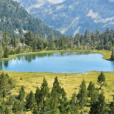 Paysage de montagne avec un lac et plus loin des arbres surplombés par des sommets
