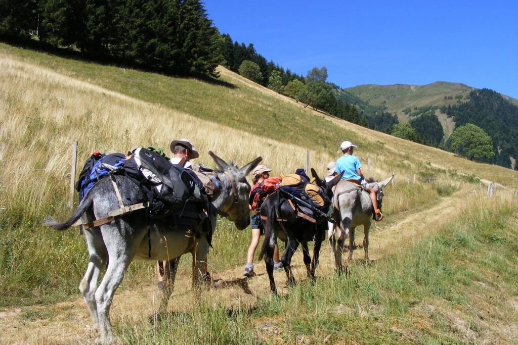 Famille avec leur accompagnateur en montagne en train de se déplacer sur un sentier en Haute-Ariège avec des ânes
