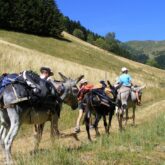 Famille avec leur accompagnateur en montagne en train de se déplacer sur un sentier en Haute-Ariège avec des ânes