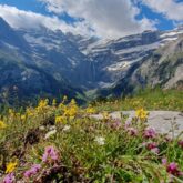 Paysage de montagne prise de vue depuis le plateau avec en fond le cirque de gavarnie