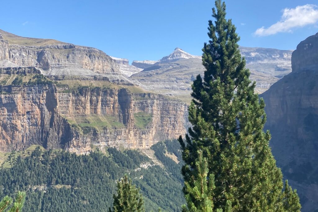 Paysage du grand canyon d'Ordesa en été, avec au premier plan des arbres et plus loin des sommets