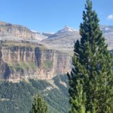 Paysage du grand canyon d'Ordesa en été, avec au premier plan des arbres et plus loin des sommets