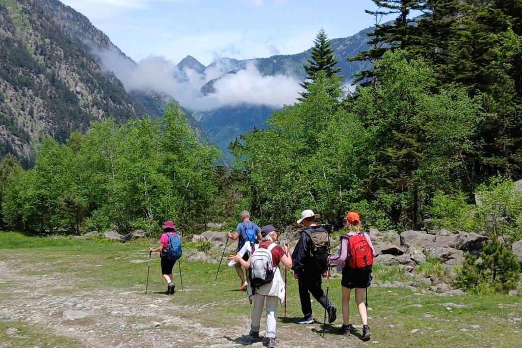Groupe de randonneurs marchant sur un sentier entouré d'arbres et avec des sommets au fond