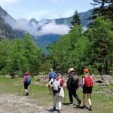 Groupe de randonneurs marchant sur un sentier entouré d'arbres et avec des sommets au fond