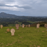 Paysage estival avec des stalles face à des sommets du Pays Basque