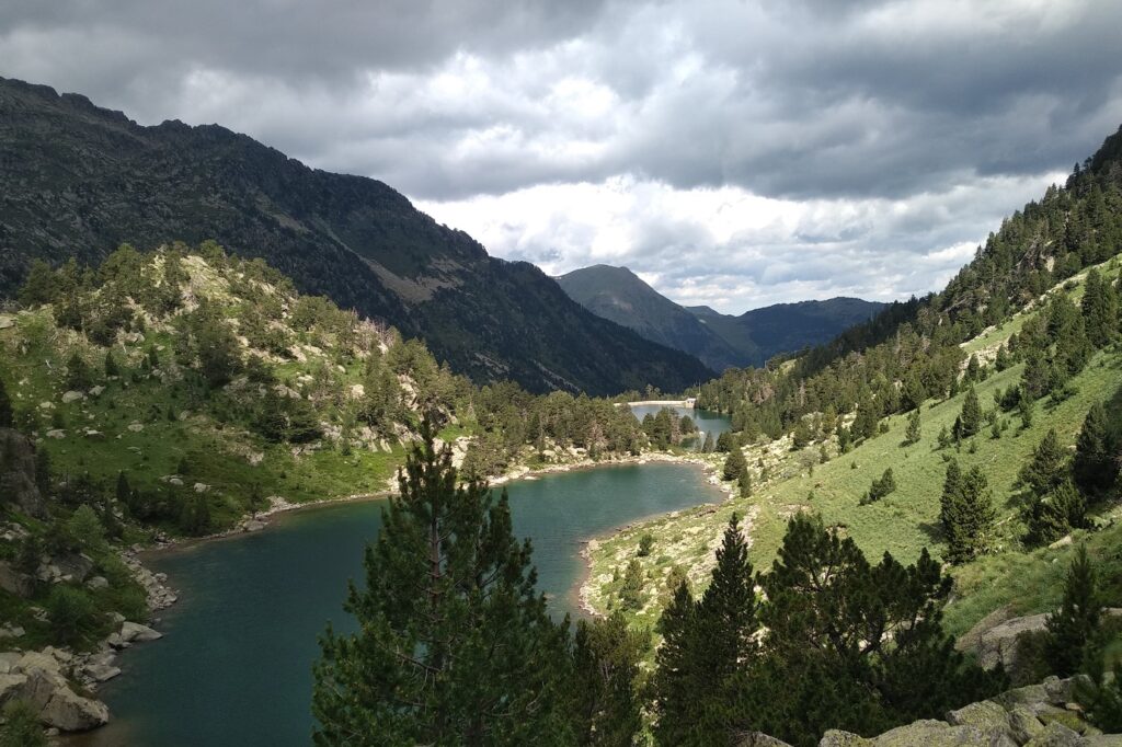 Paysage, prise de vue de haut sur un lac de montagne entouré de forêt