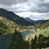 Paysage, prise de vue de haut sur un lac de montagne entouré de forêt