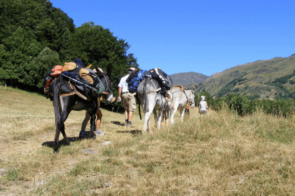 Paysage de montagne avec des ânes qui font une randonnée